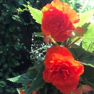 Meet your Posher, Kailey